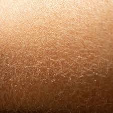 Peau sèche et saisons : comment adapter sa routine corps ?