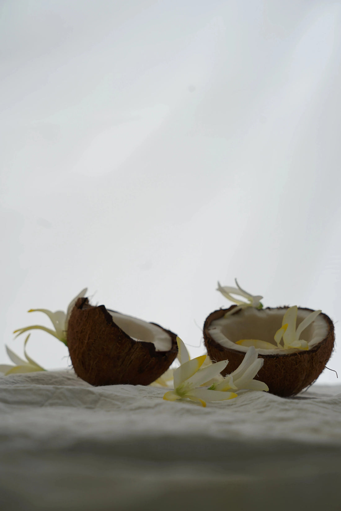 Beurre Corporel Ylang-Ylang & Coco – Nutrition intense et douceur exotique product_type