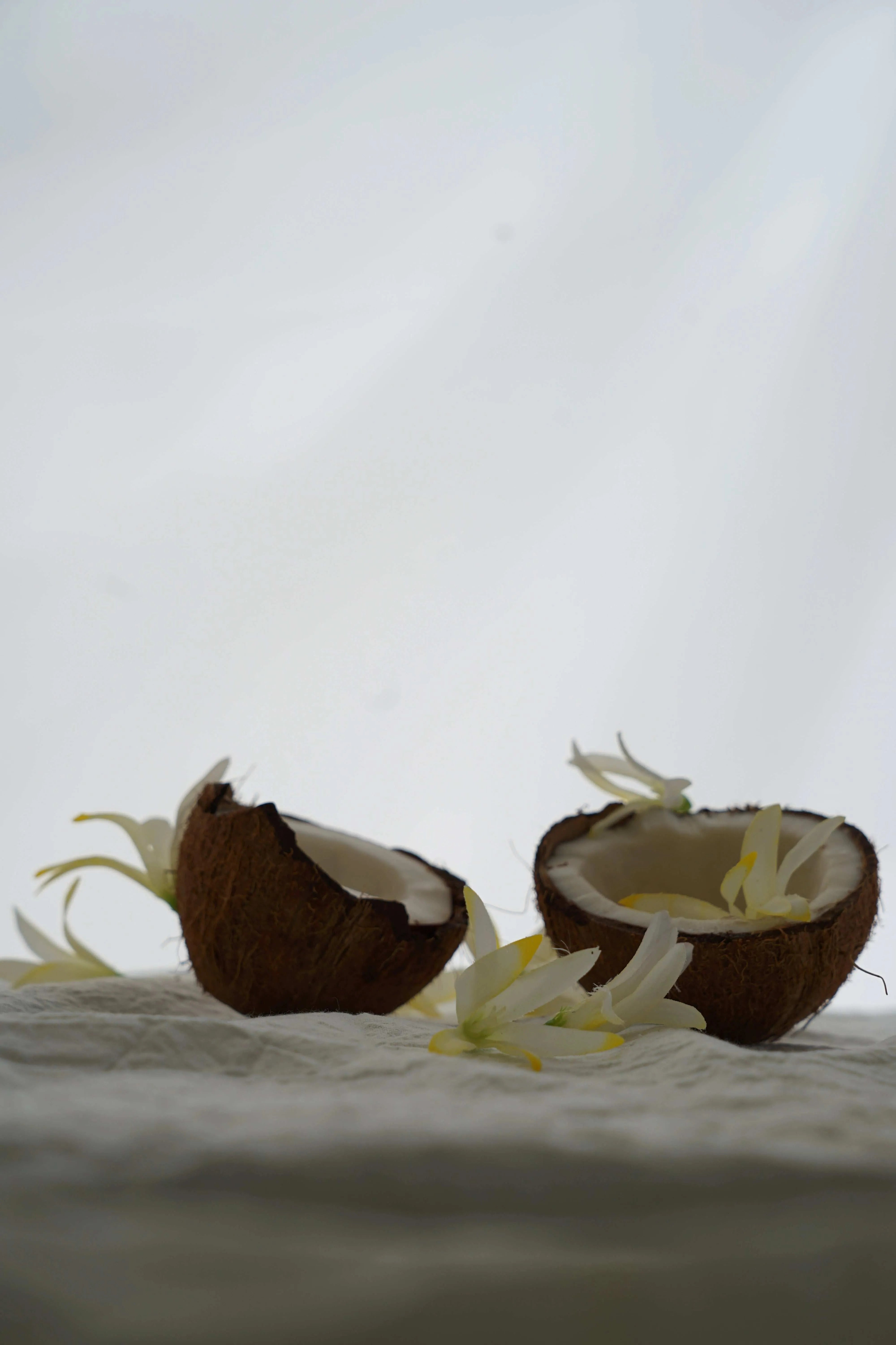 Gommage exfoliant Ylang-Ylang et Coco | Évasion Exotique - 250g product_type